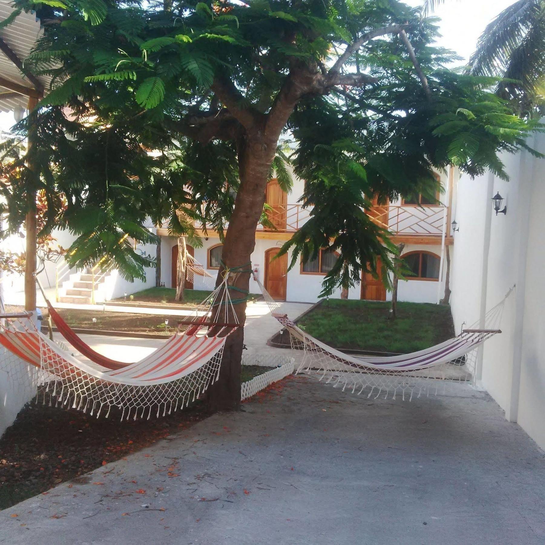 Hostal White House Galapagos Puerto Ayora  Exterior foto