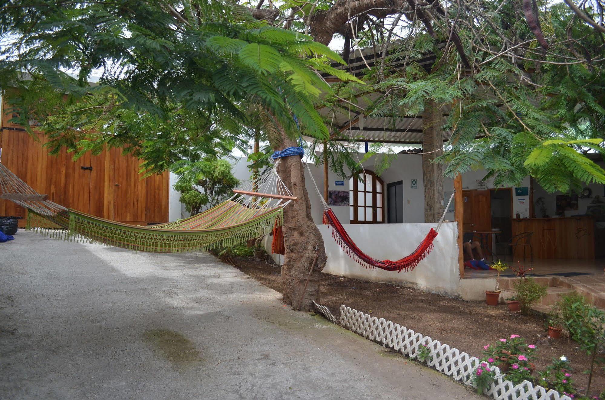 Hostal White House Galapagos Puerto Ayora  Exterior foto
